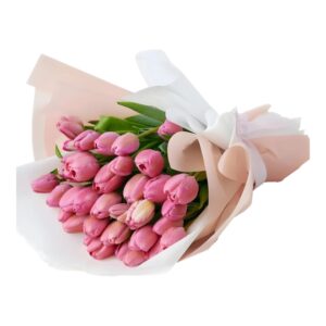 Peach Tulip Elegance