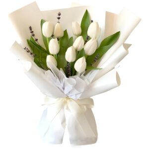 White Tulip Whisper