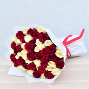 Red & White Harmony