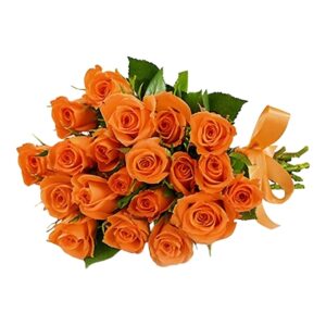 Orange Radiance