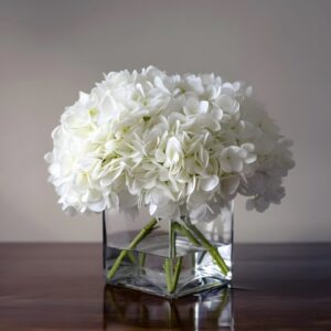White Hydrangea Elegance