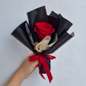 Classic Single Red