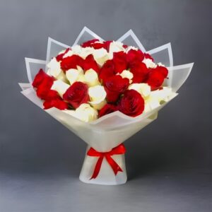 Red & White Harmony