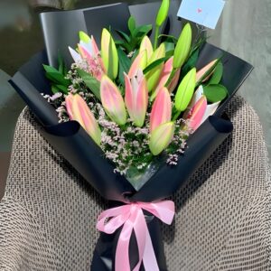 Pink Lily Serenity
