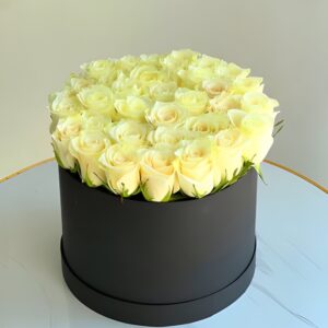 Pure White Box