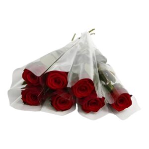 Scarlet Singles