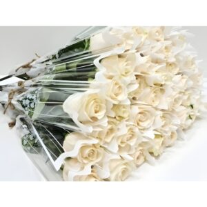 White Serenity Singles